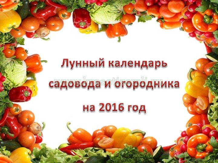 Года садовода. День садовода и огородника. День садовода и огородника открытки. Поздравление с днем дачника и огородника. Лунный календарь садовода и огородника на 2017.